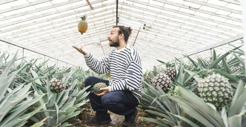 ponta-delgada-pineapple-wine-tasting-and-pineapple-tour