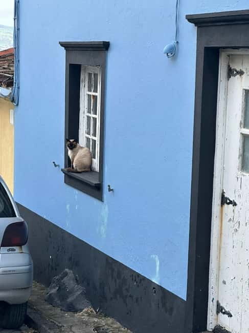 Ponta Delgada: Sete Cidades and Fenais da Luz Guided Trip - Transportation and Group Dynamics
