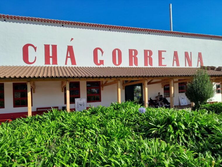 ponta-delgada-shore-excursion-sete-cidades-furnas-volcano