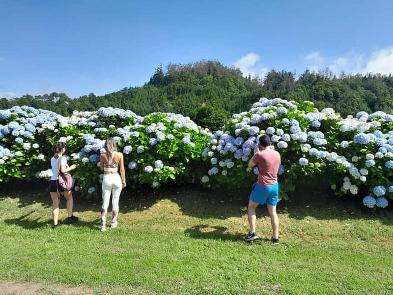 Ponta Delgada: Shore Excursion - The Blue & Green Lake - An In-Depth Look at the Sete Cidades Tour