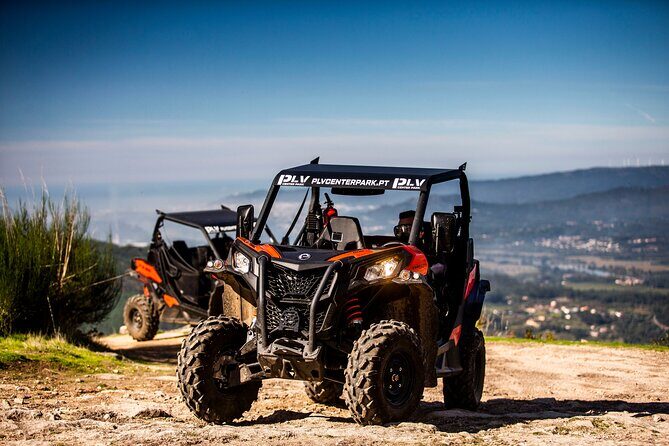 Ponte de Lima Guided Buggy Tour - Who Should Consider This Tour?