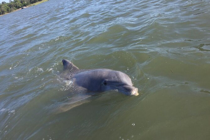 pontoon-boat-rental-in-hilton-head-island