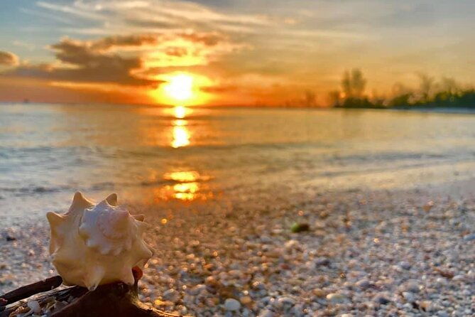 pontoon-sightseeing-and-shelling-excursion-to-keeywaydin-island