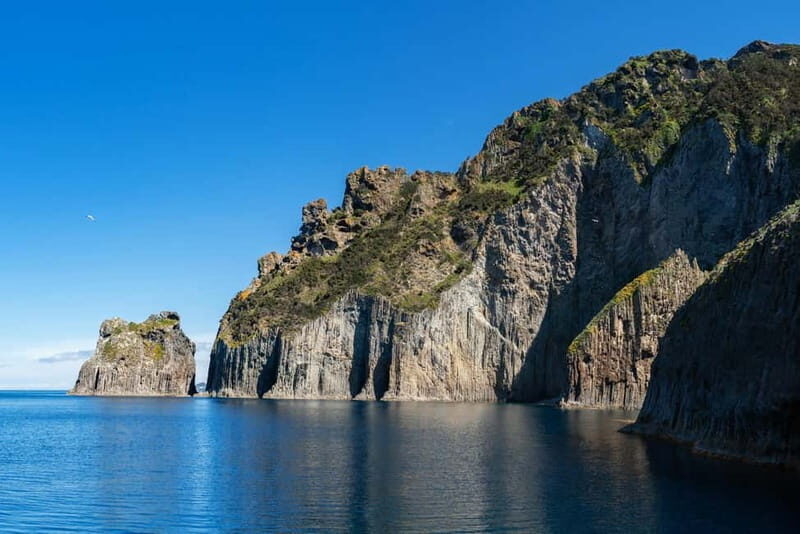 Ponza: Palmarola & Ponza Island Cruise with Swimming & Lunch - Experience Review: Ponza, Palmarola & Ponza Island Cruise with Swimming & Lunch