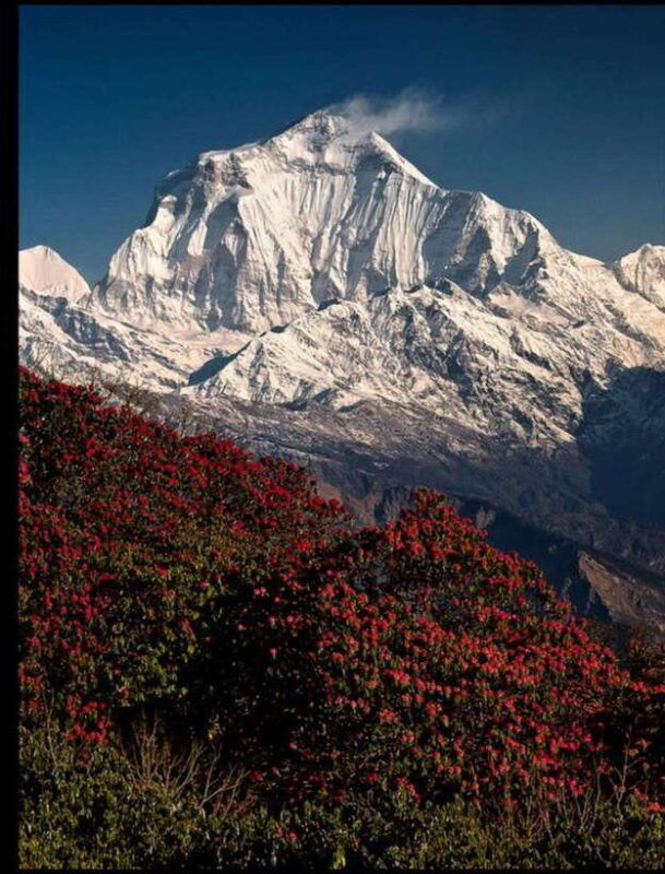 poon-hill-and-ghandruk-trek-7-days