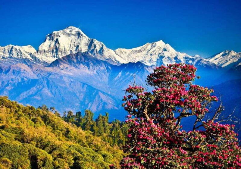 poon-hill-nepal
