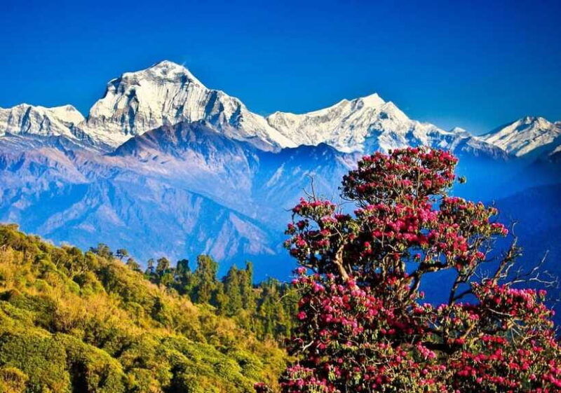 poon-hill-nepal
