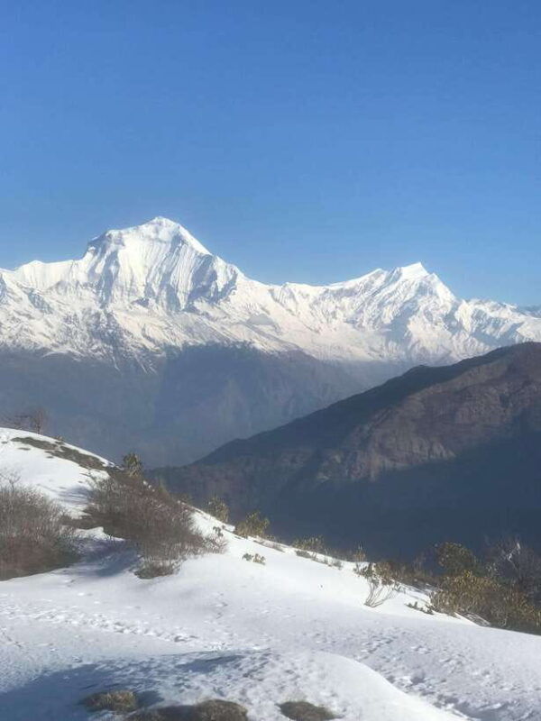poon-hill-trek-1-night-2-days