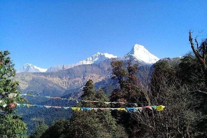Poon Hill Trek - 5 Day / 4 Night (ex Kathmandu) - Daily Departure - What Makes This Trek Special?
