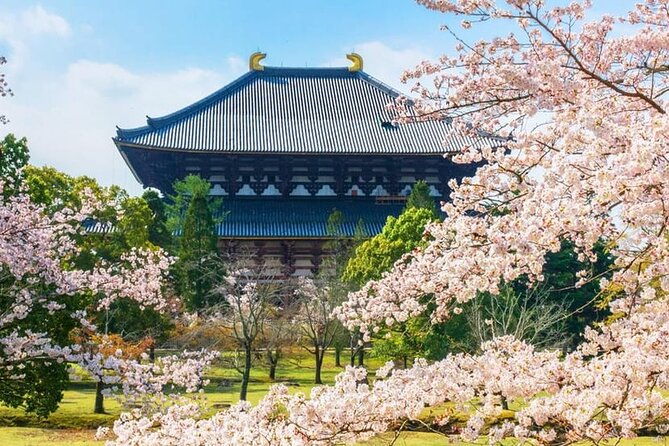 popular-highlights-of-nara-region-day-tour-departure-from-osaka