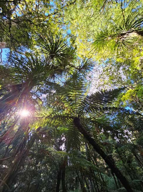 *Popular Tour* - Bay of Islands: Nature Adventure Tour - Who Will Love This Tour?