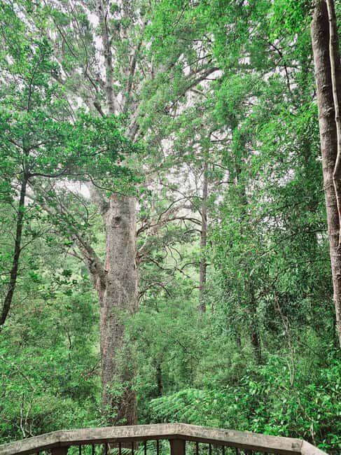 *Popular Tour* - Bay of Islands: Nature Adventure Tour - The Sum Up