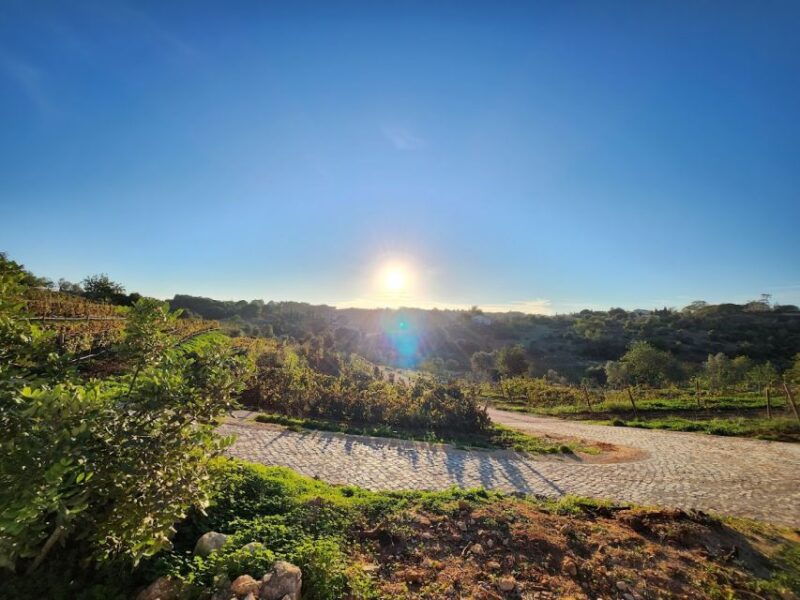 porches-algarve-vineyard-tour-and-wine-tasting-experience