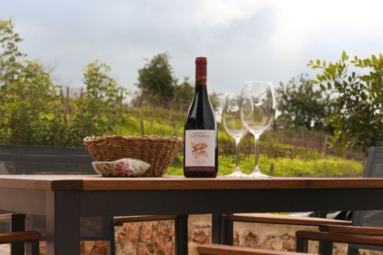 porches-algarve-vineyard-tour-and-wine-tasting-experience