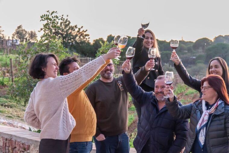 porches-algarve-vineyard-tour-and-wine-tasting-experience