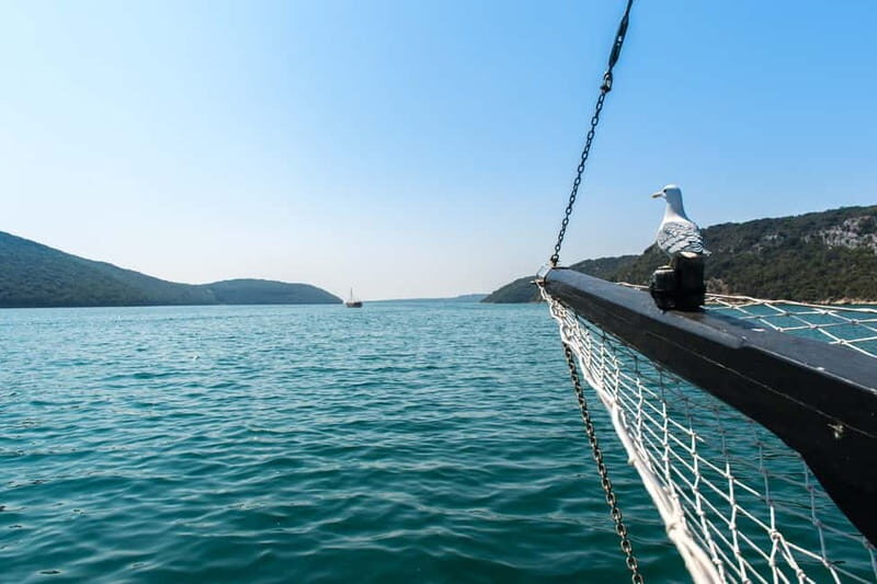 Pore: Boat Day Trip to Rovinj with or without Fish Lunch - Who Would Love This Experience?