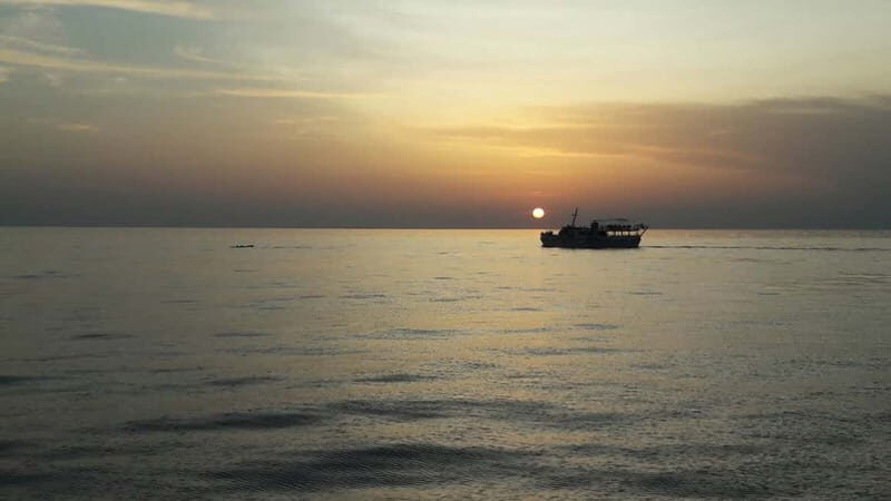 Pore: Sunset Dolphin Safari Cruise with Drinks - Final Thoughts: Who Should Consider This Tour?
