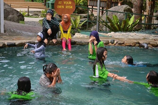 Poring Hot Springs Tour from Kota Kinabalu including Treetop Canopy Walk - Key Points