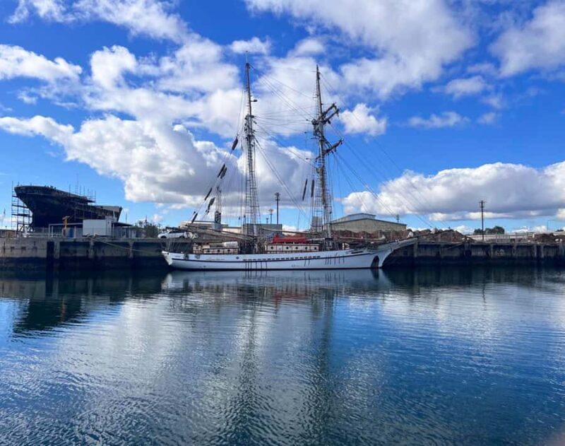 Port Adelaide: Dolphin and Maritime Cruise - Final Thoughts: Is It Worth It?