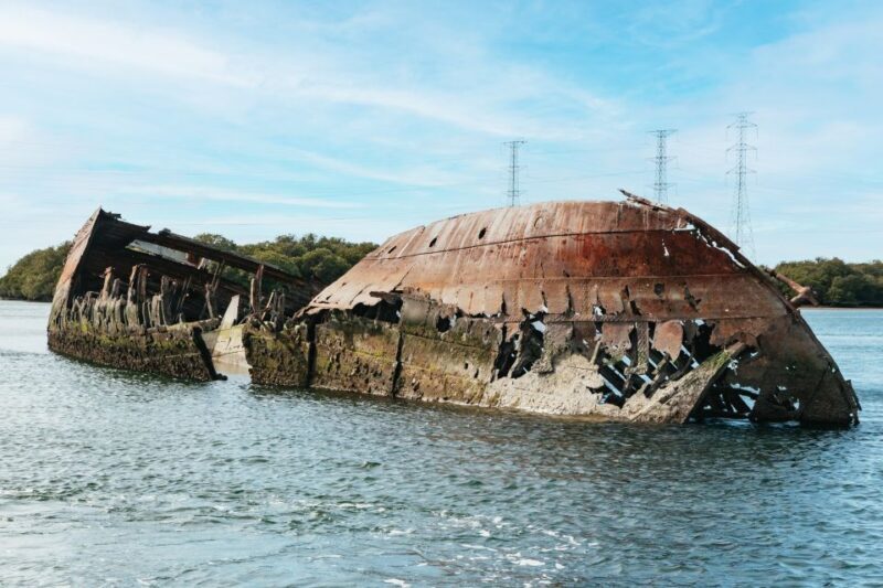 Port Adelaide: Dolphin and Ships Graveyard Cruise - Key Points