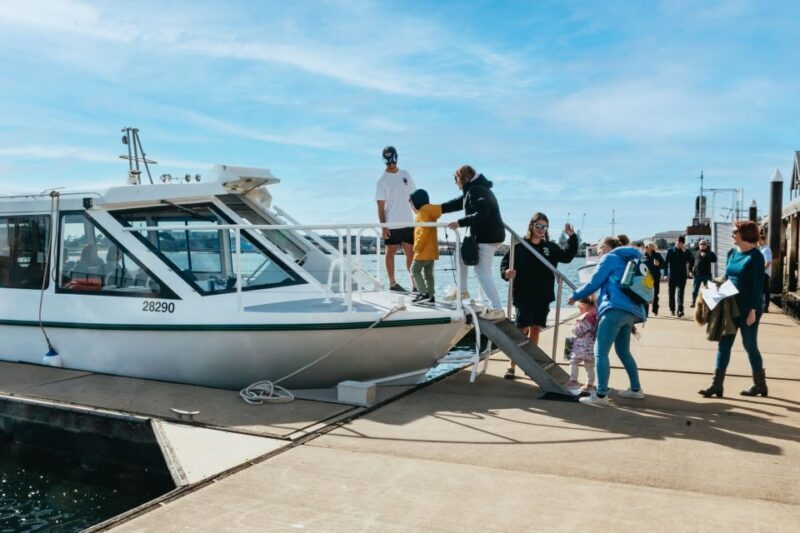Port Adelaide: Dolphin and Ships Graveyard Cruise - Setting the Scene: What to Expect on This Cruise