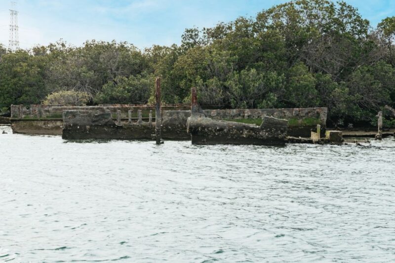 Port Adelaide: Dolphin and Ships Graveyard Cruise - The Sum Up