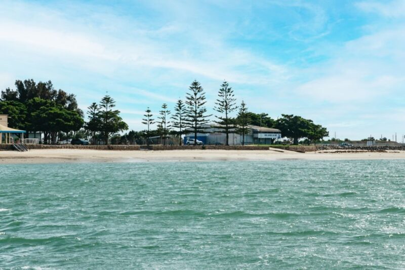 Port Adelaide: Dolphin and Ships Graveyard Cruise - FAQ