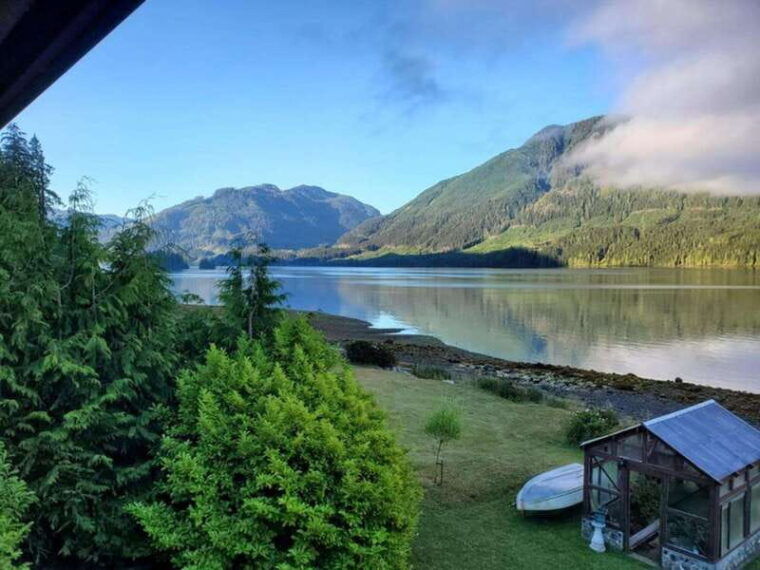 port-alice-sea-otter-and-wildlife-tour-6-hour-with-lunch