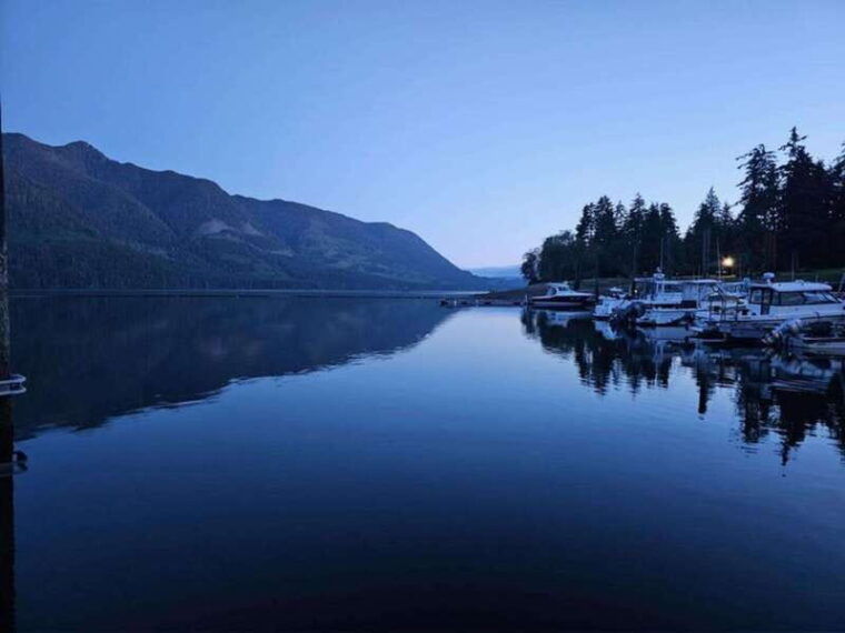 port-alice-sea-otter-and-wildlife-tour-6-hour-with-lunch