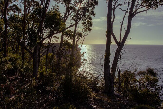 Port Arthur, Richmond and Lavender Active Day Tour - FAQs