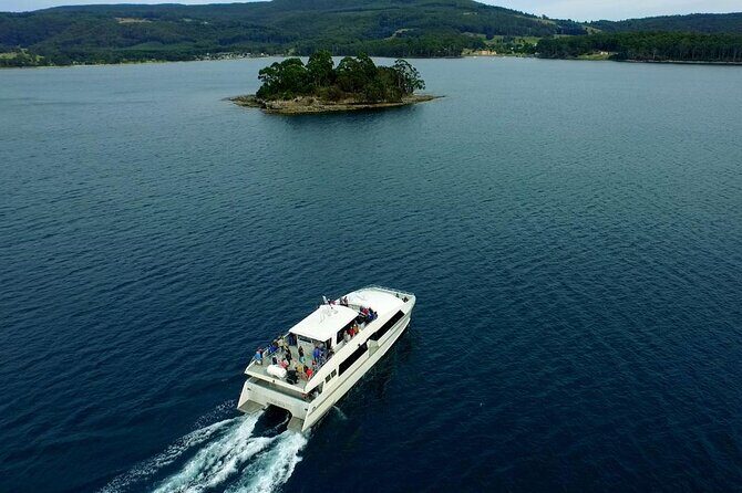 Port Arthur Shuttle and Tasman Sights Tour - Who Will Love This Tour?