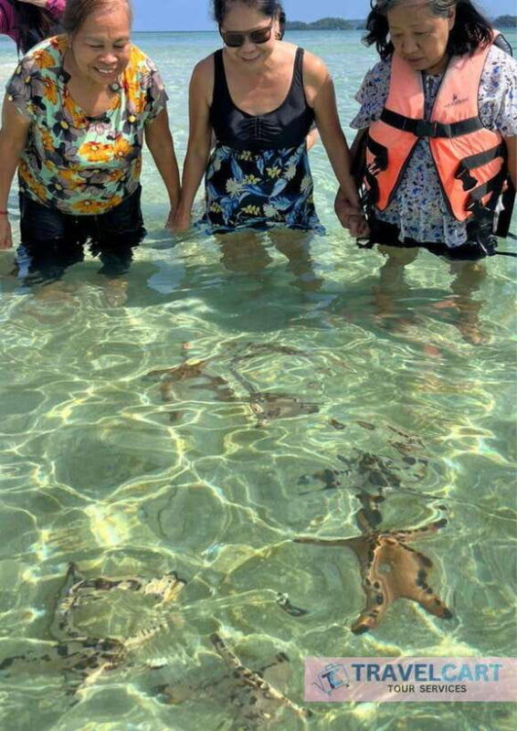 port-barton-day-tour