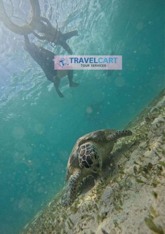 port-barton-day-tour