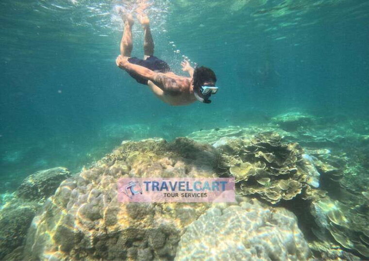 port-barton-day-tour