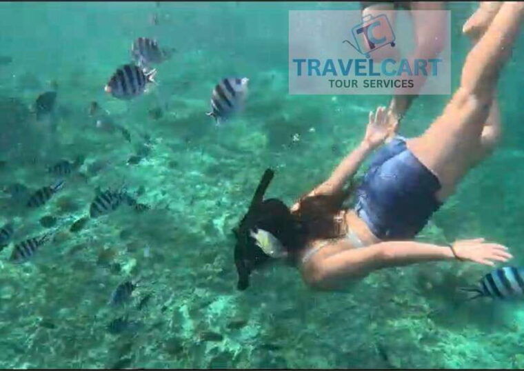 port-barton-day-tour