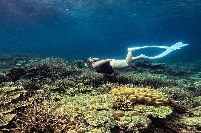 Port Barton Full Day Island Hopping with Buffet Lunch - Final Thoughts