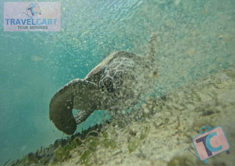 PORT BARTON: Full-day Shared Island Hopping Tour A - Key Points