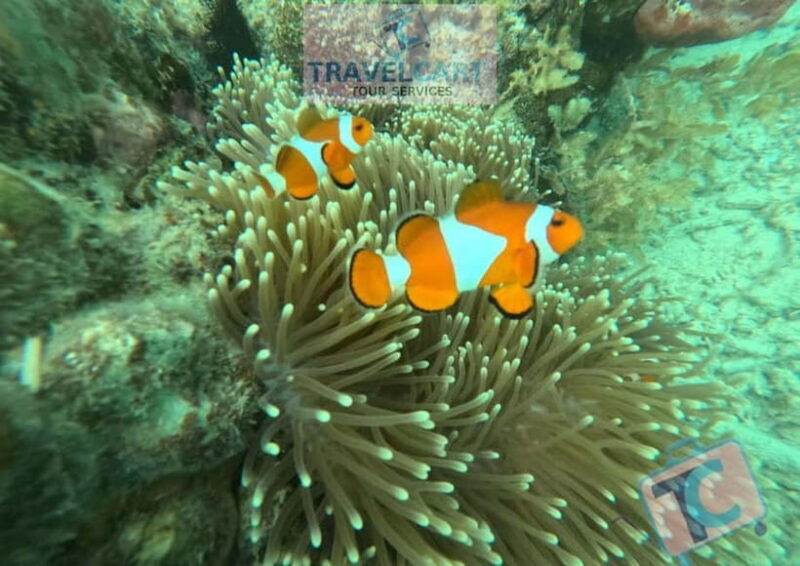 PORT BARTON: Full-day Shared Island Hopping Tour A - Discovering the Beauty of Port Barton