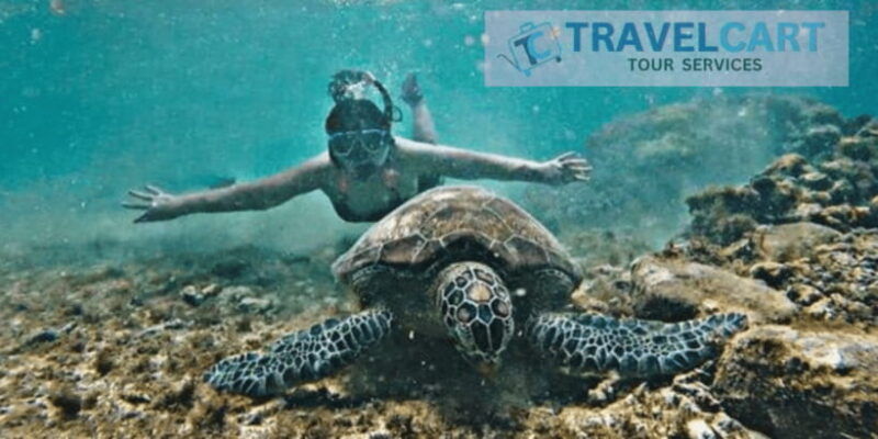 port-barton-full-day-shared-island-hopping-tour-a