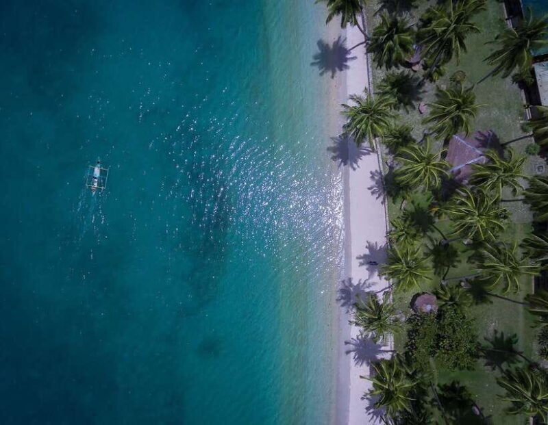 port-barton-island-hopping-to-turtle-spot-reef-with-lunch