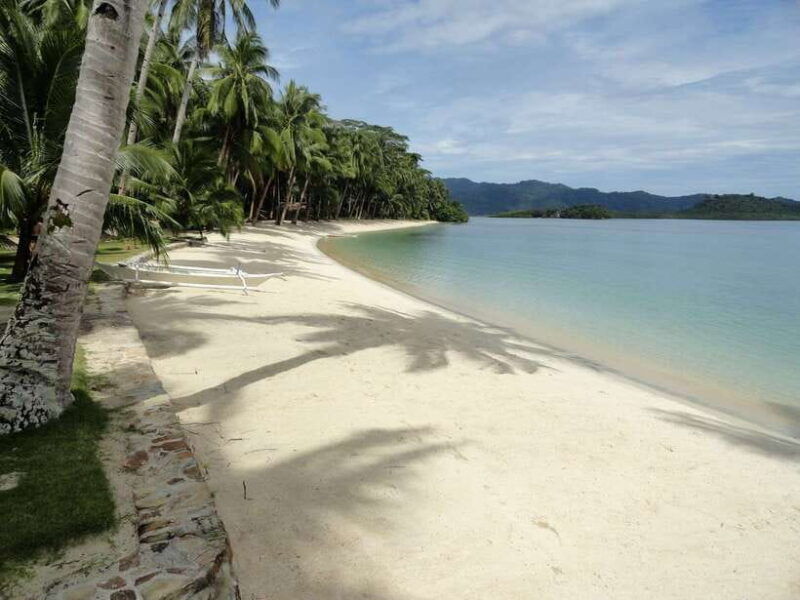 port-barton-island-hopping-to-turtle-spot-reef-with-lunch