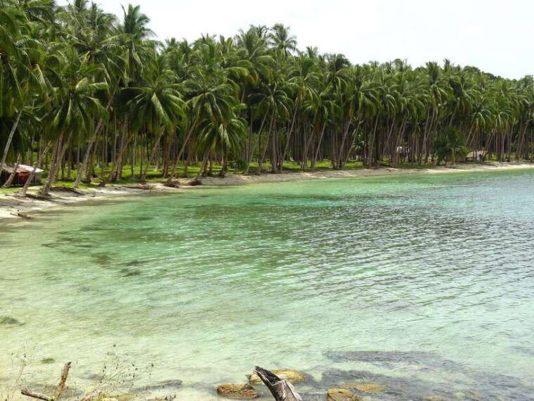 port-barton-island-hopping-to-turtle-spot-reef-with-lunch