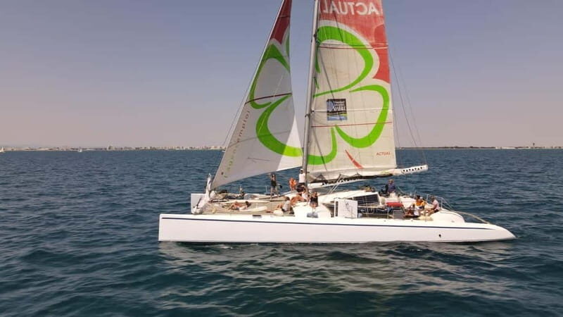 Port Camargue: Half-Day Sailing Tour on a Racing Catamaran - What to Expect from Your Sailing Tour