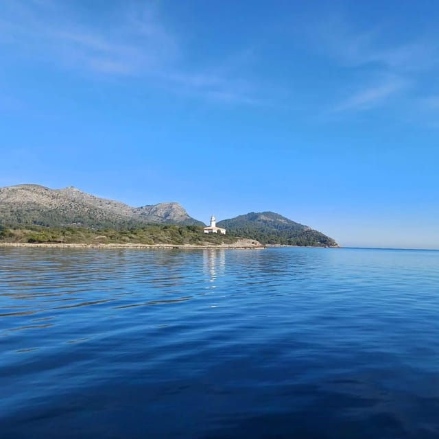 port-dalcudia-mallorca-exclusive-half-day-sailing-trip