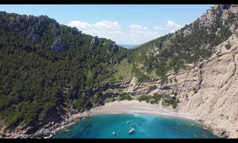 Port d'Alcúdia, Mallorca: Half Day Sailing Trip - Who Is This Tour Best For?