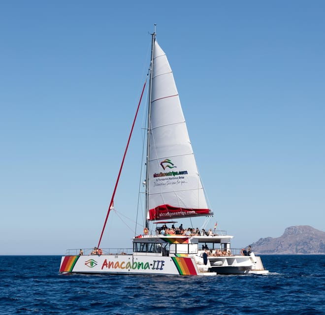 port-dalcudia-north-coast-catamaran-cruise-with-meal