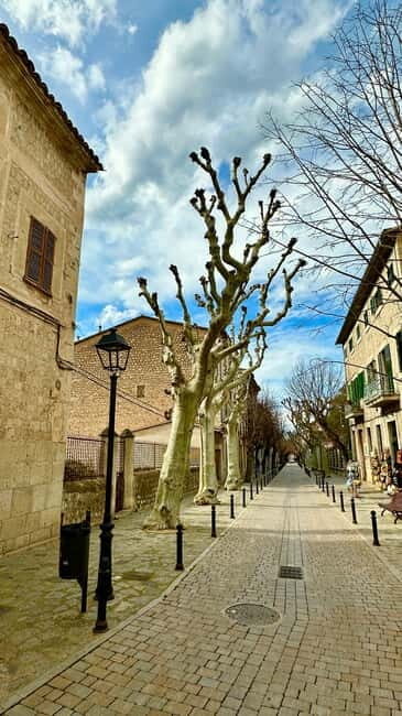 Port de Sóller, Sóller, and Sa Foradada Sunset Tour - Value and Price Analysis