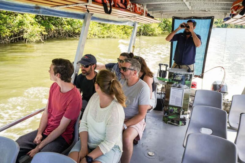 Port Douglas: Afternoon Daintree Tour w/ Wildlife Cruise - Exploring the Port Douglas: Afternoon Daintree Tour with Wildlife Cruise