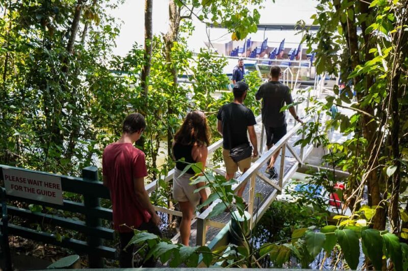 Port Douglas: Afternoon Daintree Tour w/ Wildlife Cruise - Who Will Love This Tour?