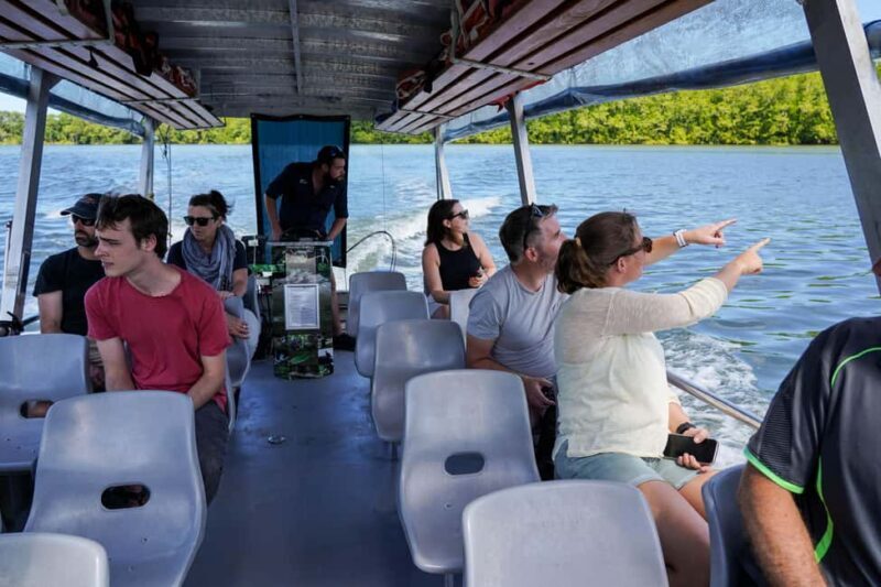 Port Douglas: Afternoon Daintree Tour w/ Wildlife Cruise - FAQs